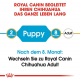 Сухий корм для собак – Royal Canin Chihuahua Puppy 1,5 kg