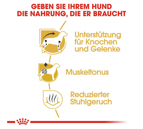 Trockenfutter für Hunde – Royal Canin Dachshund Adult 7,5 kg