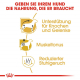 Trockenfutter für Hunde – Royal Canin Dachshund Adult 7,5 kg