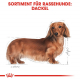 Trockenfutter für Hunde – Royal Canin Dachshund Adult 7,5 kg