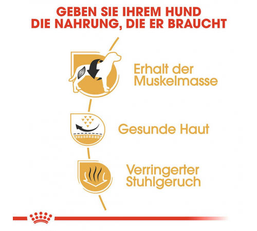Trockenfutter für Hunde – Royal Canin French Bulldog Adult 3 kg