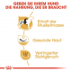 Trockenfutter für Hunde – Royal Canin French Bulldog Adult 3 kg