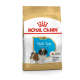 Сухой корм для собак – Royal Canin Shih Tzu Puppy 1,5 kg