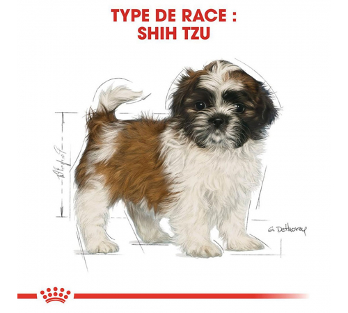 Сухой корм для собак – Royal Canin Shih Tzu Puppy 1,5 kg