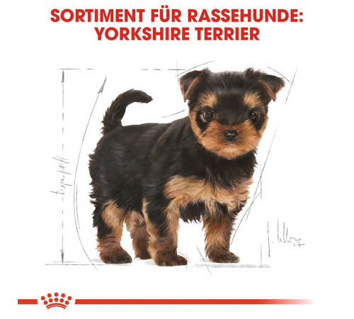 Сухий корм для собак – Royal Canin Yorkshire Terrier Puppy 500 g