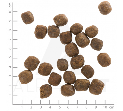 Trockenfutter für Hunde – Wolfsblut Cold River Adult 12,5 kg