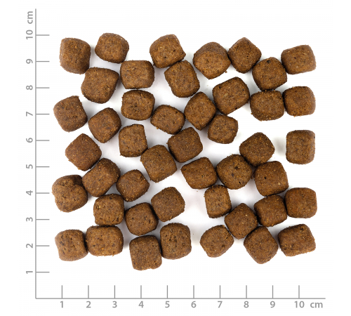 Trockenfutter für Hunde – Wolfsblut Grey Peak Adult 2 kg
