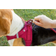 сurli Clasp Hunde-Geschirr Air-Mesh - blau - L