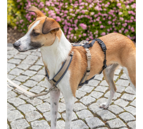Trixie Panik-Adapter Stay für Geschirre - L-XL/59-92 cm