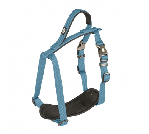 Duvoplus EXPLOR North Geschirr - Petrolblau - 80-100cm/25mm