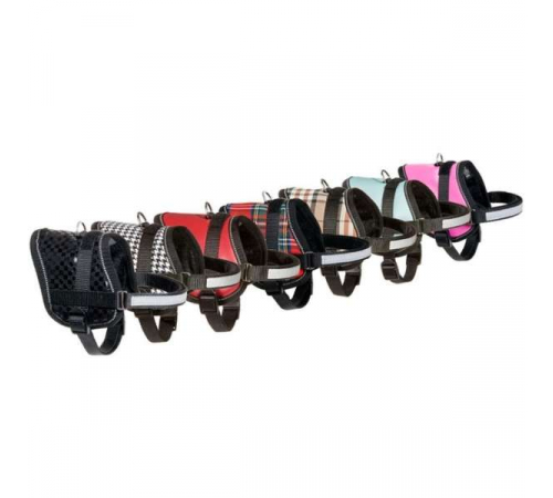 Karlie Teeny-Weeny Minihund-Geschirr - Schwarz/31-40cm