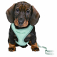 Trixie Junior Welpen-Softgeschirr mit Leine - hellgrau