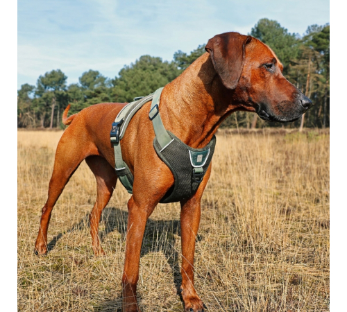 Duvoplus EXPLOR Ultimate Fit No-Pull-Geschirr - Undercover Green - XS - 28-37cm - 32-43cm