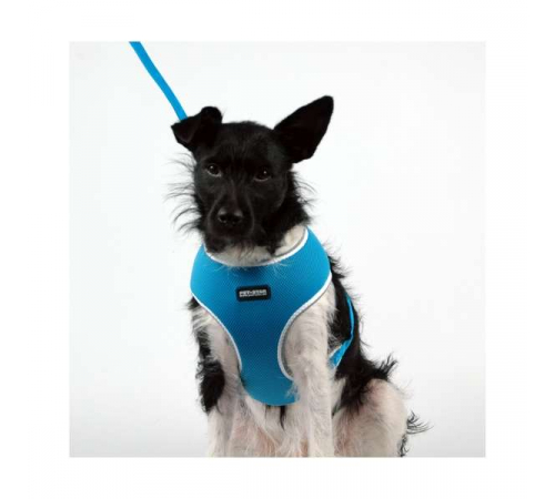 Pet-Star Softgeschirr / Netzgeschirr - Blau - L