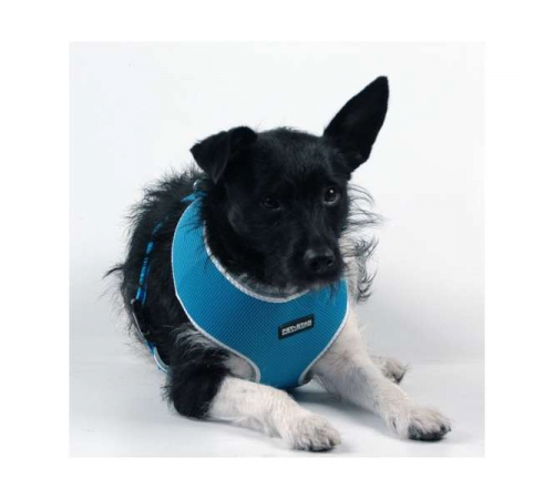 Pet-Star Softgeschirr / Netzgeschirr - Blau - L