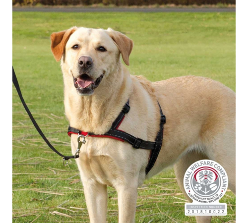 Trixie Trainingsgeschirr Lead'n'Walk Soft - S-M