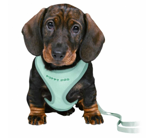 Trixie Junior Welpen-Softgeschirr mit Leine - mint