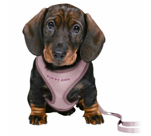Trixie Junior Welpen-Softgeschirr mit Leine - mint
