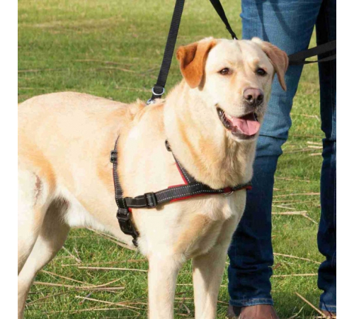 Trixie Trainingsgeschirr Lead'n'Walk Soft - L-XL