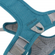 Trixie Premium Active Geschirr - petrol - 30-40 cm/15 mm