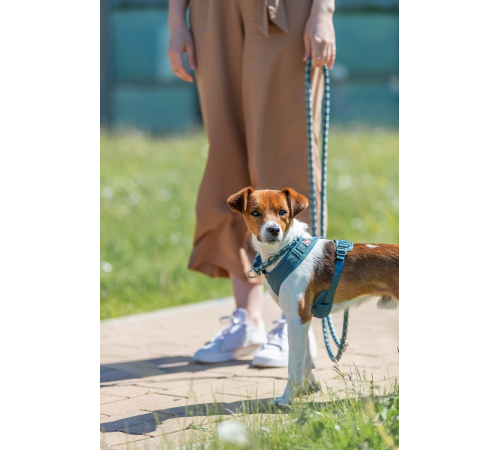 Trixie Premium Active Geschirr - petrol - 30-40 cm/15 mm
