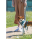 Trixie Premium Active Geschirr - petrol - 30-40 cm/15 mm