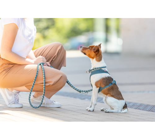 Trixie Premium Active Geschirr - petrol - 30-40 cm/15 mm