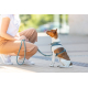 Trixie Premium Active Geschirr - petrol - 30-40 cm/15 mm