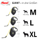 Flexi Rollleine GIANT Gurt - 8m / 25kg