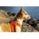 Повідець для собаки - curli Basic Leine Nylon - Orange - 140 cm/2,0 cm