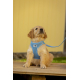 Поводок для собаки - curli Basic Leine Nylon - Skyblue - 140 cm/1,5 cm