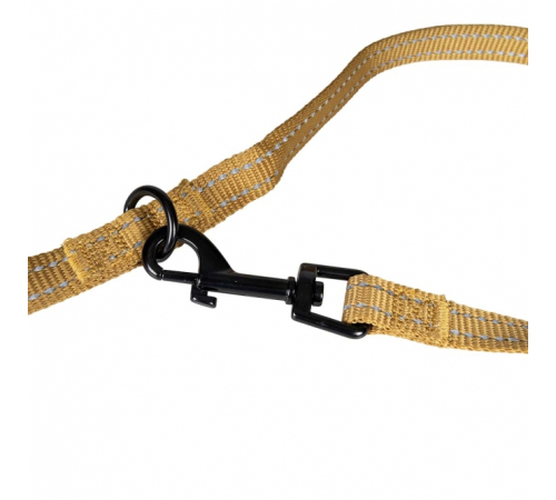 Duvoplus Trainingsleine EXPLOR Ultimate Fit Classic - honey gold - 220cm - 25mm