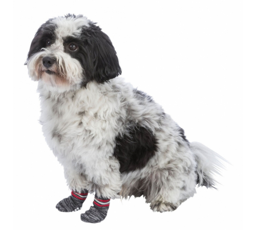 Trixie Hundesocken - Grau - L-XL