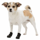 Trixie Pfotenschutzschuhe Walker Active - S-M