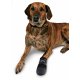 Trixie Walker Care Pfotenschutz-Stiefel - XL