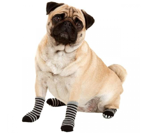 Karlie Doggy Socks Hundesocken 4er Set - Schwarz/Grau - L