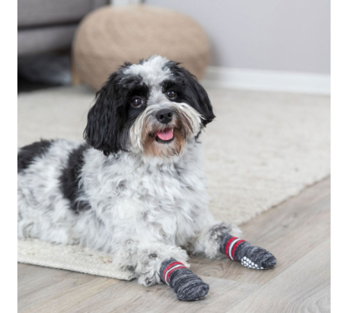 Trixie Hundesocken - Grau - XS-S