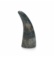 Viking Horn Whole - S