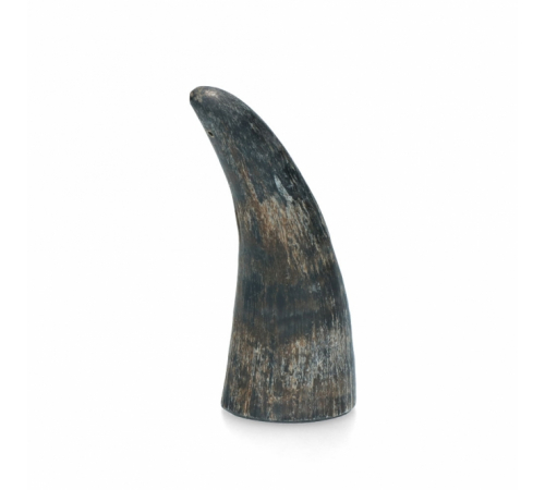 Viking Horn Whole - S
