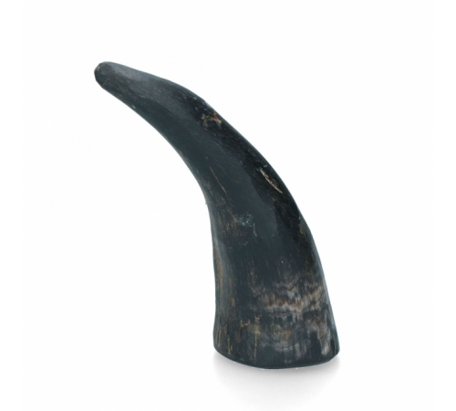 Viking Horn Whole - S