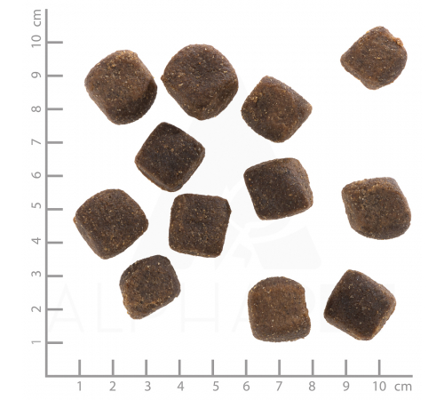 Wolfsblut Snack Squashies Dark Forest 100 g