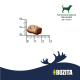 Bozita Hundesnack Meaty Bites Hirsch & Ente Duo-Protein 70 g