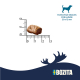 Bozita Hundesnack Meaty Bites Rentier & Ente 70 g