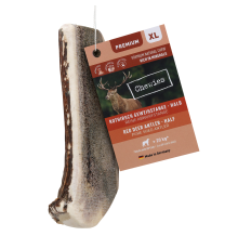 Chewies Rothirsch-Geweihstange halb XL