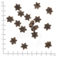 Ласощі для собак - Wolfsblut Training Treats Dark Forest 70 g