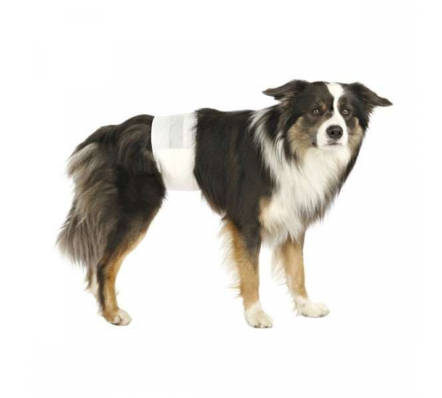 Trixie Hundewindeln für Rüden - L-XL
