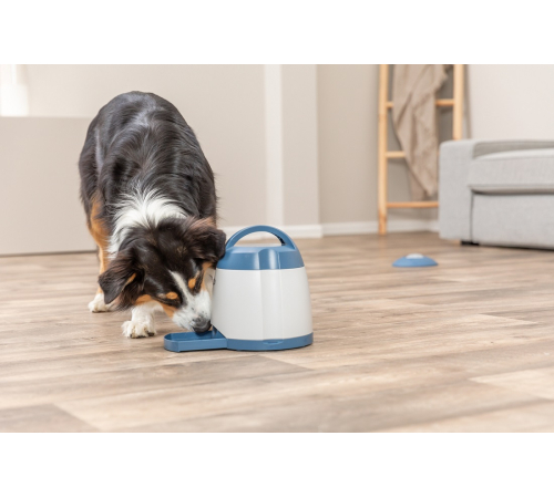 Trixie Dog Activity Memory Trainer
