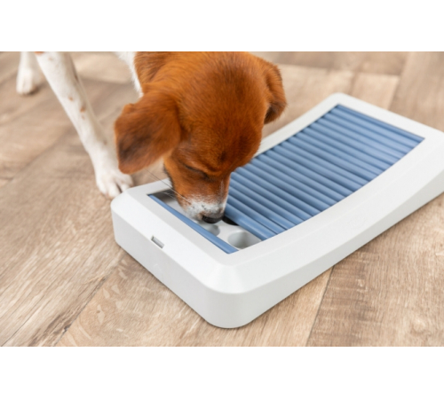 Trixie Dog Activity Rod Board