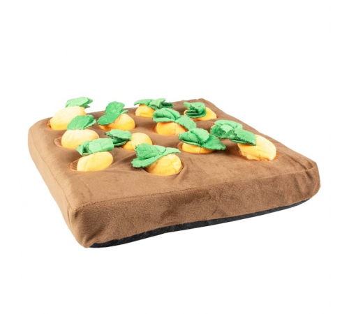 Duvoplus Schnüffelmatte Karottengarten