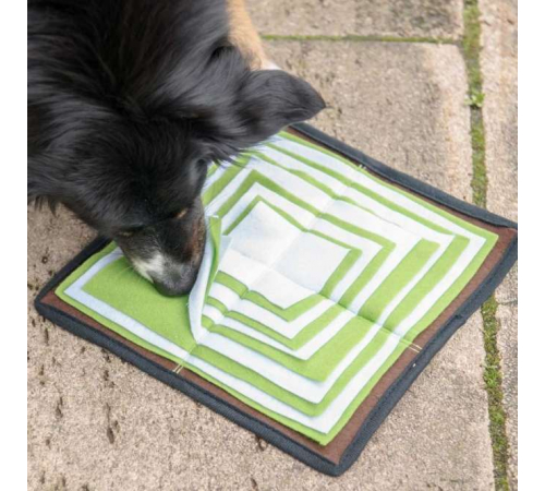 PROCYON Schnüffelpyramide